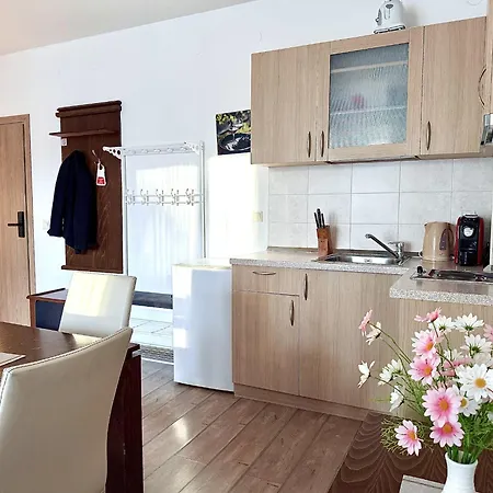 607 Stream Panoramic With Free Parking And Apartament Pamporovo